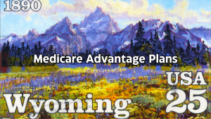 Medicare Advantage Plans Wyoming 2026 Overview of Medicare Advantage Plans in Wyoming